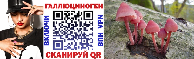 сайты даркнета формула  Полярный  Галлюциногенные грибы Psilocybe  где купить наркоту 